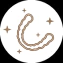 list icon